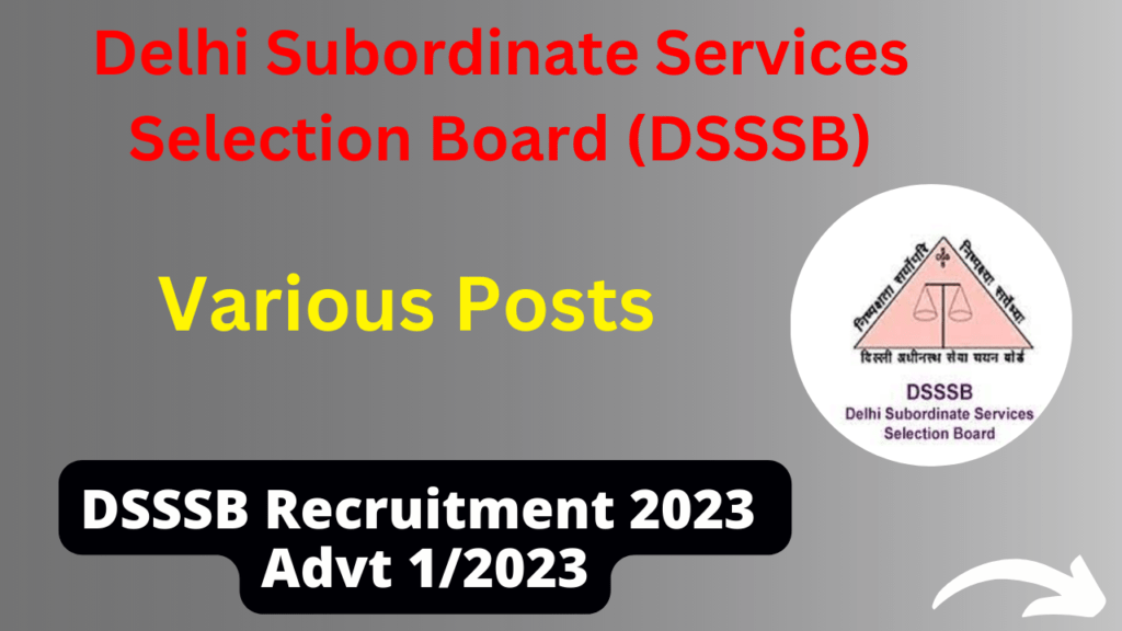 DSSSB Recruitment 2023 Advt 12023